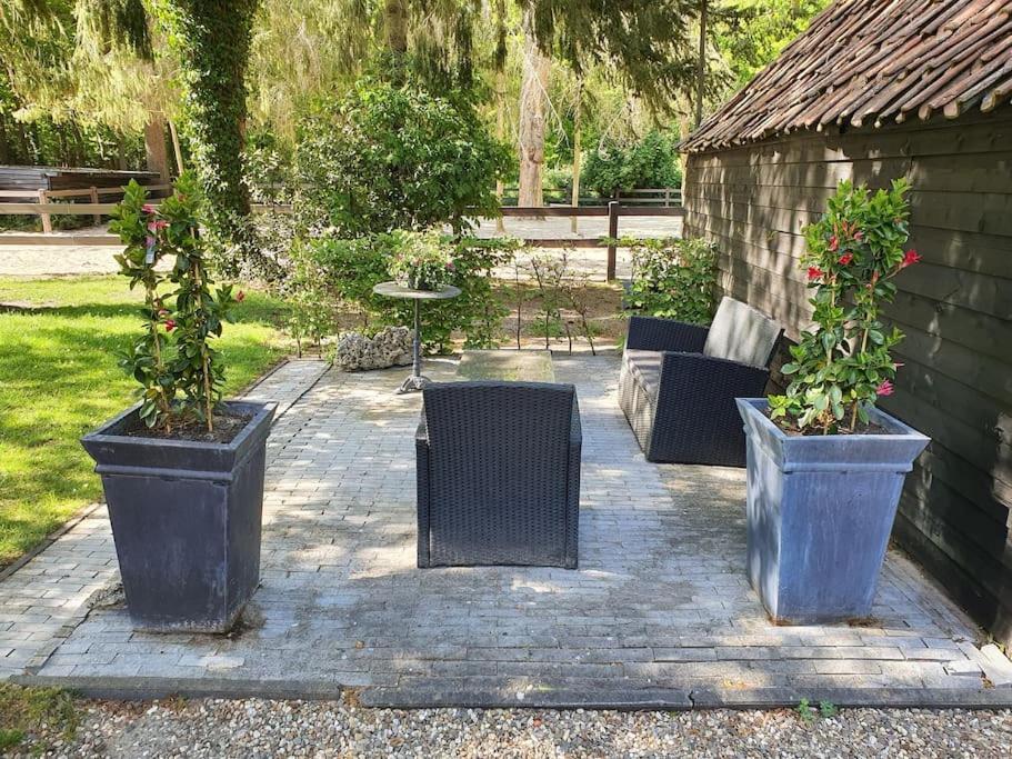 Oranjewoud Midden In De Friese Bossen Op Landgoed Princenhof מראה חיצוני תמונה