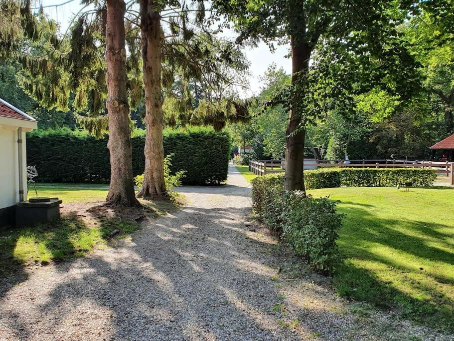 Oranjewoud Midden In De Friese Bossen Op Landgoed Princenhof מראה חיצוני תמונה