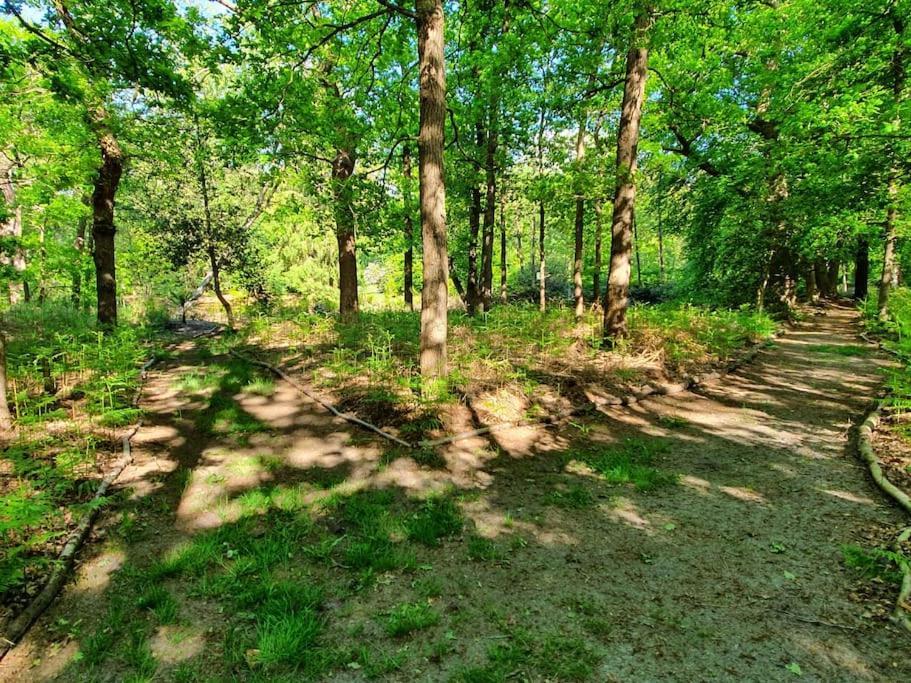 Oranjewoud Midden In De Friese Bossen Op Landgoed Princenhof מראה חיצוני תמונה