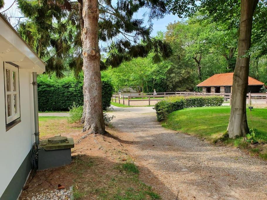 Oranjewoud Midden In De Friese Bossen Op Landgoed Princenhof מראה חיצוני תמונה