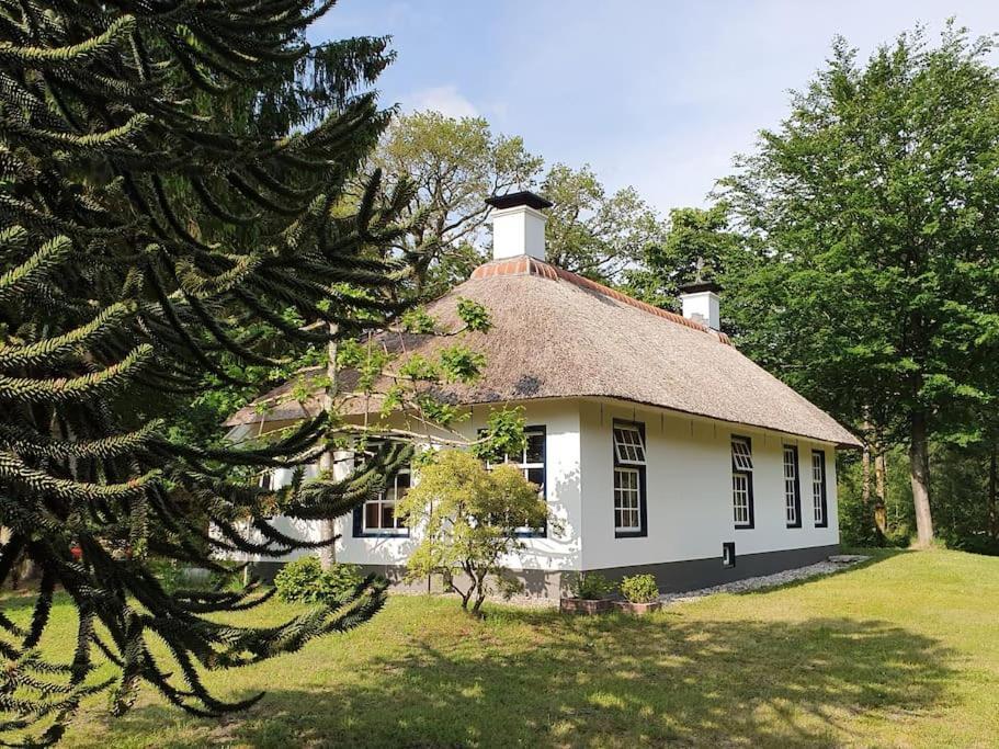Oranjewoud Midden In De Friese Bossen Op Landgoed Princenhof מראה חיצוני תמונה