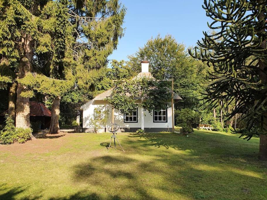 Oranjewoud Midden In De Friese Bossen Op Landgoed Princenhof מראה חיצוני תמונה
