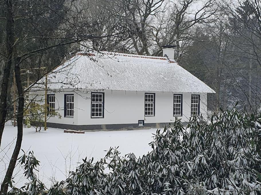 Oranjewoud Midden In De Friese Bossen Op Landgoed Princenhof מראה חיצוני תמונה