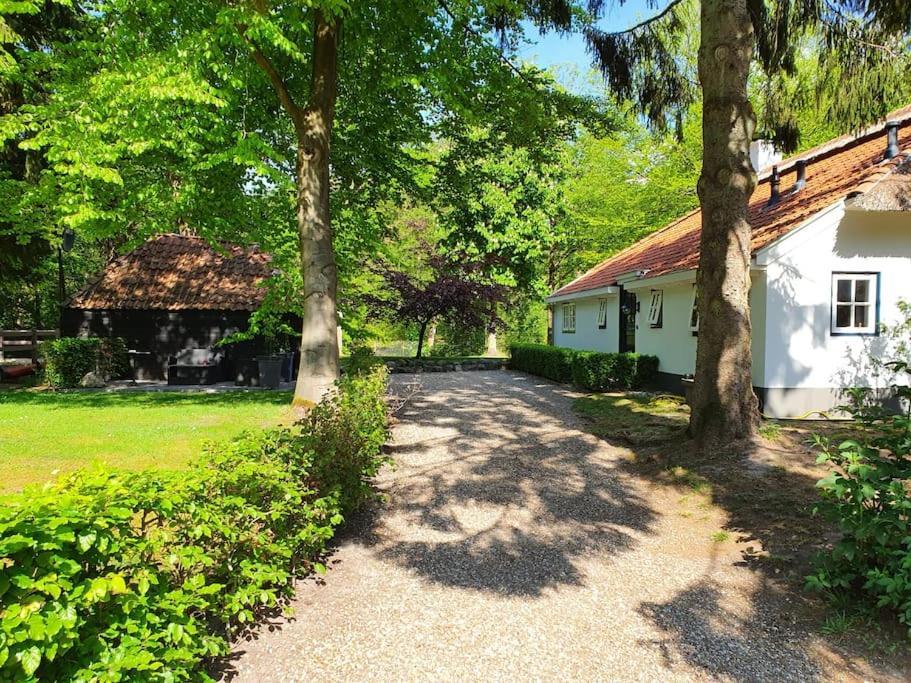 Oranjewoud Midden In De Friese Bossen Op Landgoed Princenhof מראה חיצוני תמונה