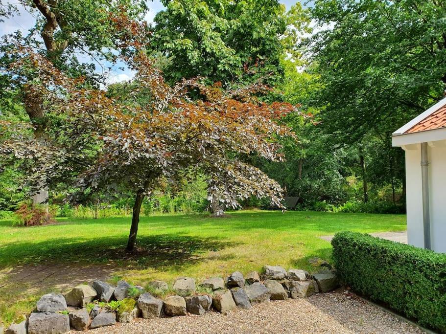 Oranjewoud Midden In De Friese Bossen Op Landgoed Princenhof מראה חיצוני תמונה