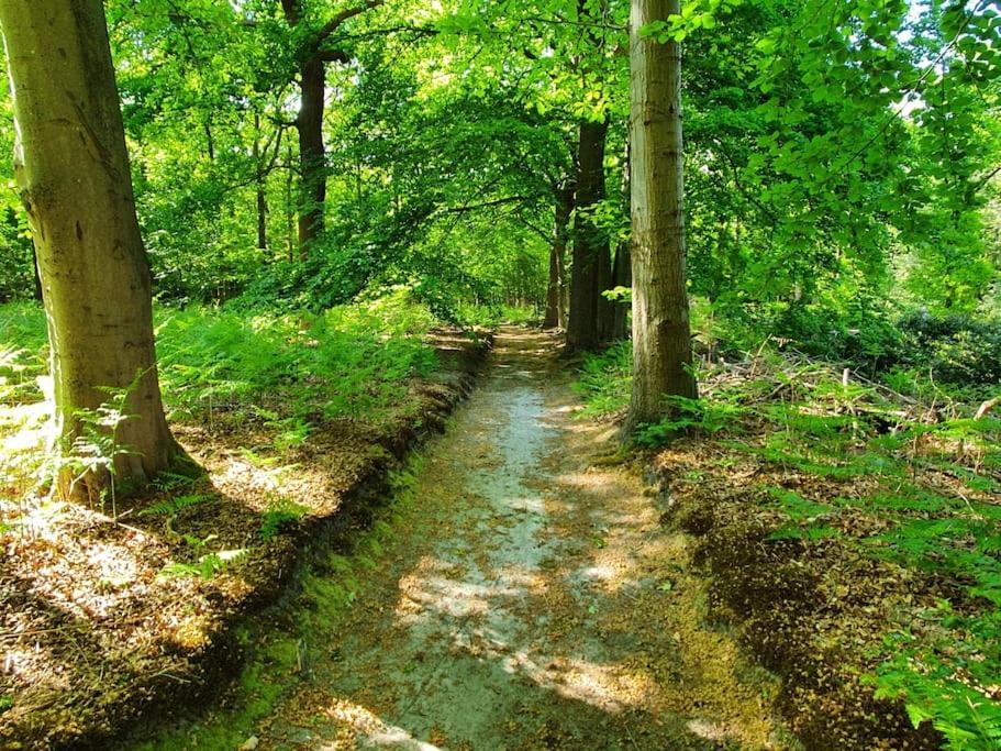Oranjewoud Midden In De Friese Bossen Op Landgoed Princenhof מראה חיצוני תמונה