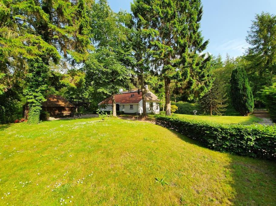 Oranjewoud Midden In De Friese Bossen Op Landgoed Princenhof מראה חיצוני תמונה